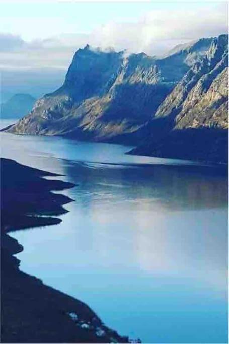 Arctica