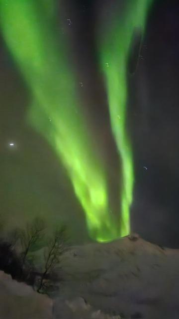 Arctica * Tromso