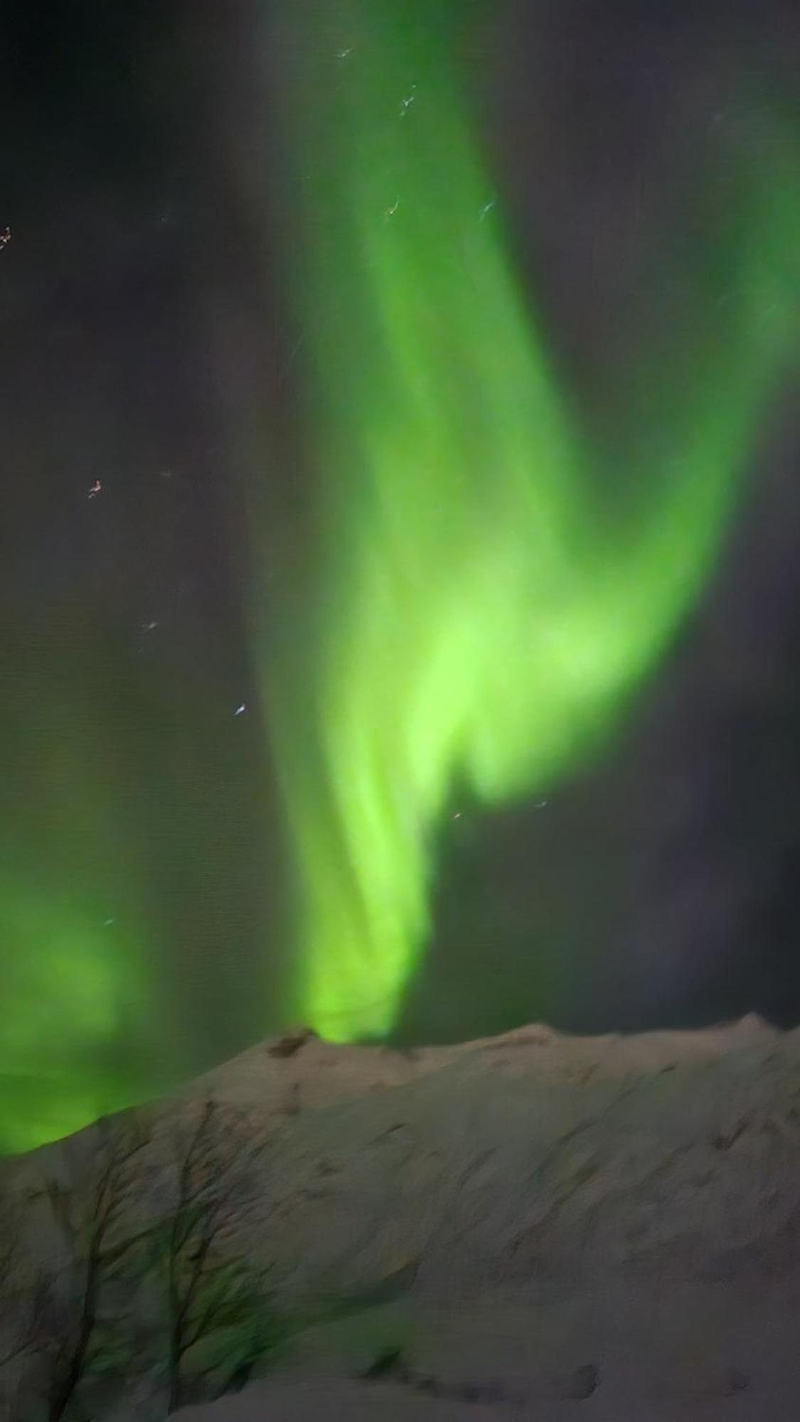 Arctica Tromso