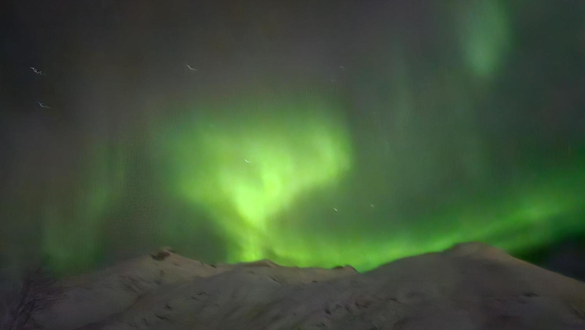 Holiday home Arctica